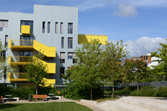 Cliquez sur la vignette pour l'agrandir